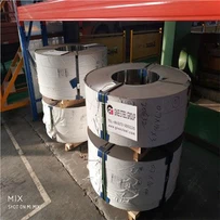 Bobina Inoxidable 310