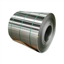 Bobina de acero inoxidable ASTM XM21