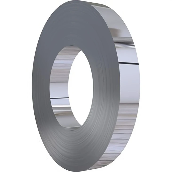 304L 309S Stainless Steel Strips/ Foil